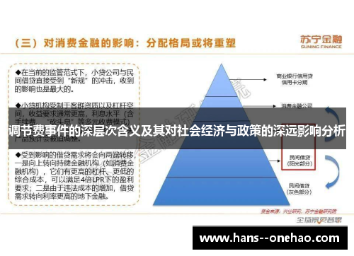 调节费事件的深层次含义及其对社会经济与政策的深远影响分析