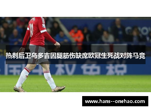 热刺后卫乌多吉因腿筋伤缺席欧冠生死战对阵马竞